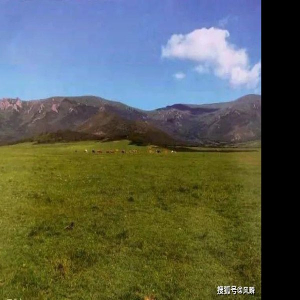韩匡嗣家族墓地 - 图片7