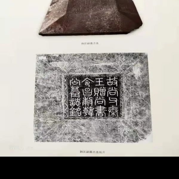 韩匡嗣家族墓地 - 图片8