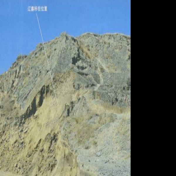 吐尔基山墓 - 图片2