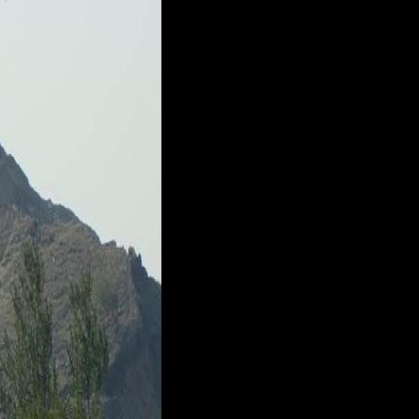 吐尔基山墓 - 图片9