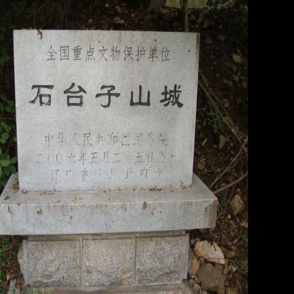 石台子山城 - 图片10