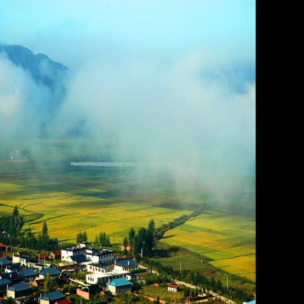 城子山山城 - 图片10