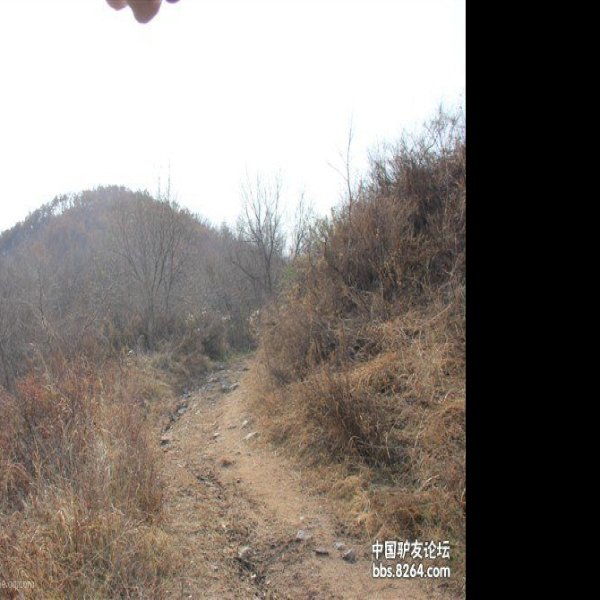 城子山山城 - 图片8