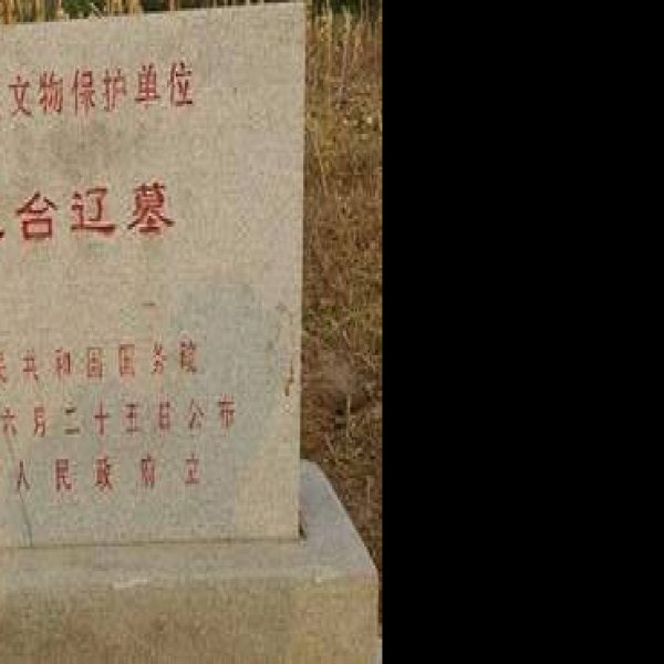 叶茂台辽墓群 - 图片8
