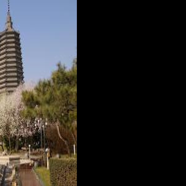 锦州广济寺塔 - 图片2