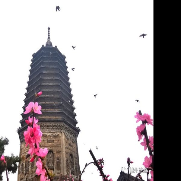 锦州广济寺塔 - 图片7