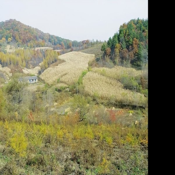 西团山遗址 - 图片6