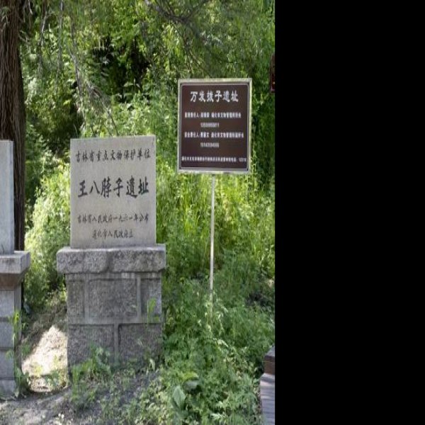 万发拨子遗址 - 图片3