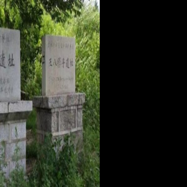 万发拨子遗址 - 图片5