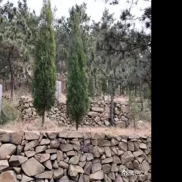 吉林西团山墓地 - 图片5