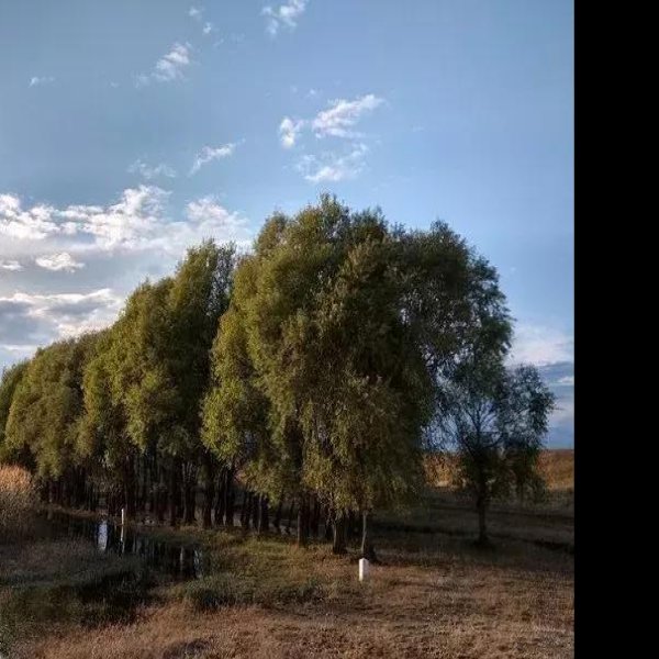 克东蒲峪路故城 - 图片3