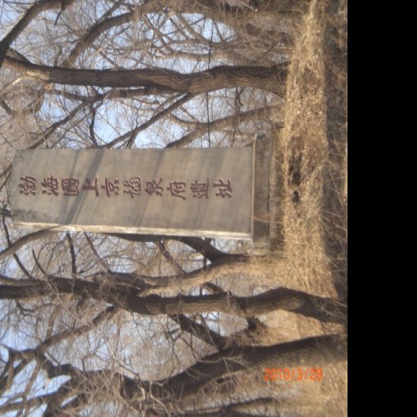 渤海镇遗址 - 图片10