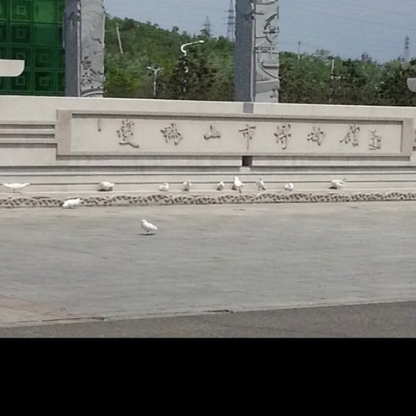 双鸭山市博物馆 - 图片3