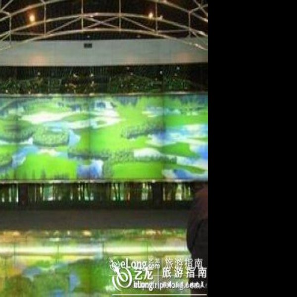 大兴安岭资源馆 - 图片10