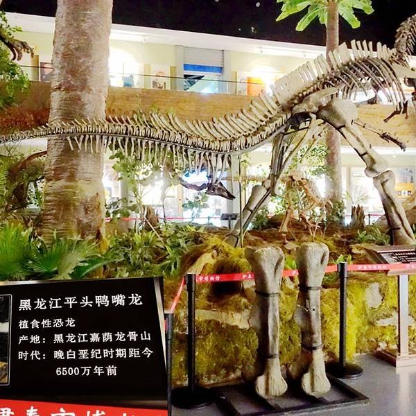 伊春市博物馆 - 图片6