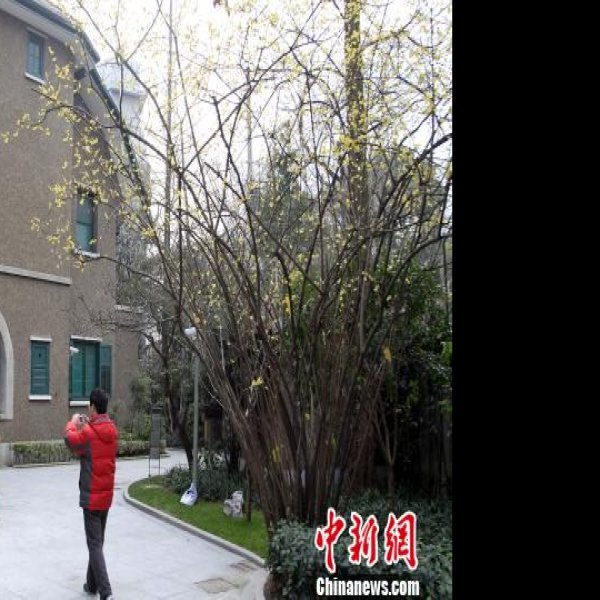 上海巴金故居 - 图片4