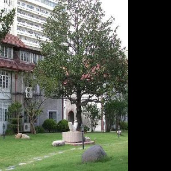 上海戏剧学院 - 图片7