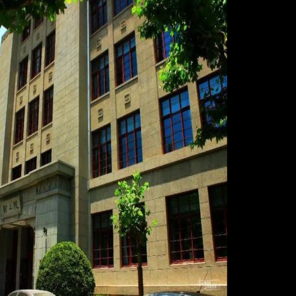 上海交通大学 - 图片9