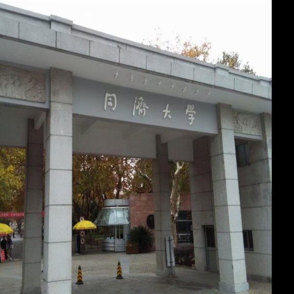 同济大学 - 图片1