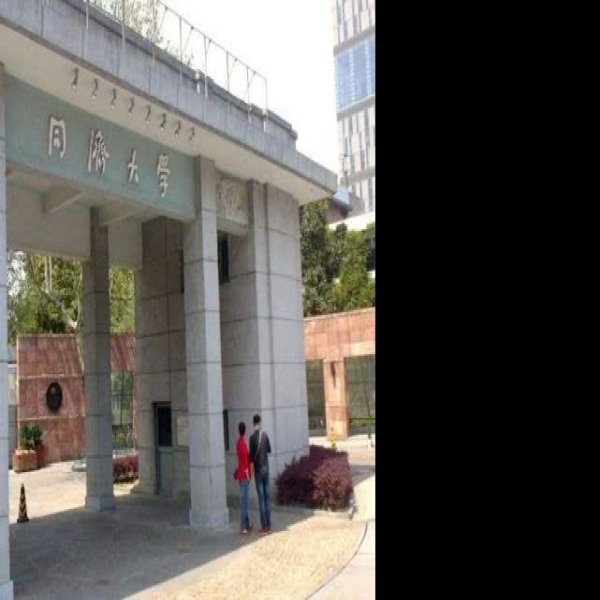 同济大学 - 图片7