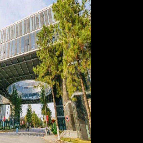 同济大学 - 图片9