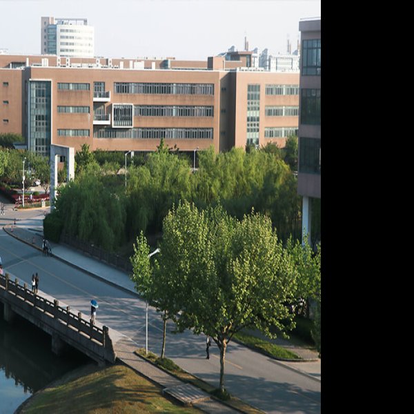 华东师范大学 - 图片5