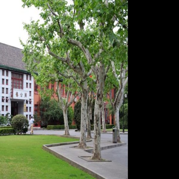 华东师范大学 - 图片8