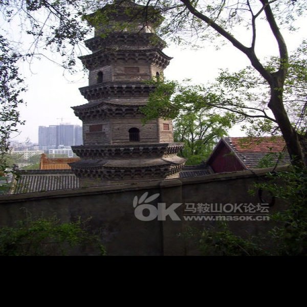 芜湖广济寺 - 图片7