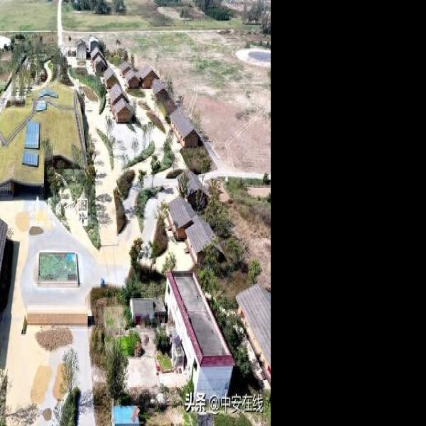 蚌埠双墩遗址 - 图片10