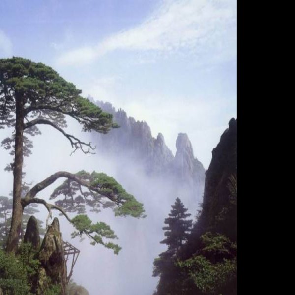 黄山 - 图片10