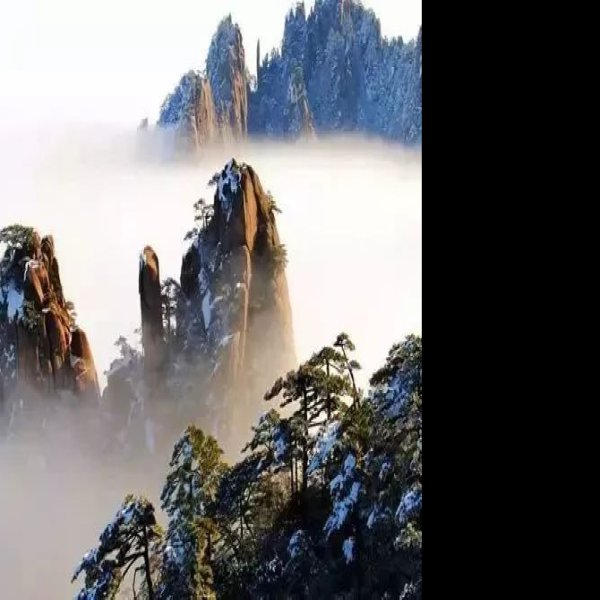 黄山 - 图片4