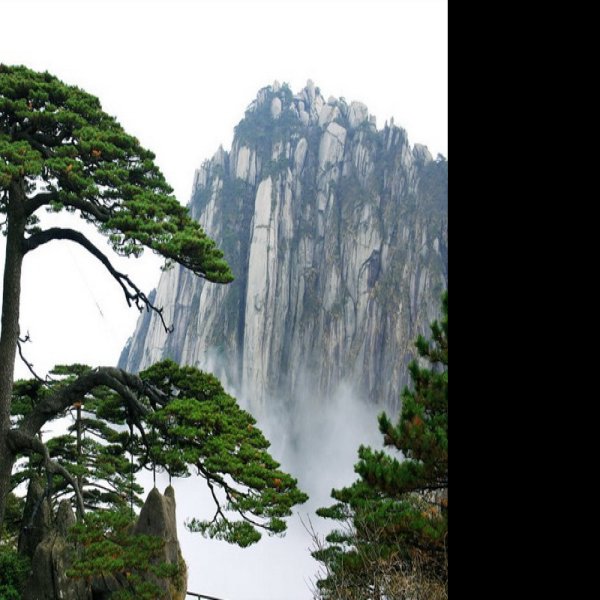 黄山 - 图片8