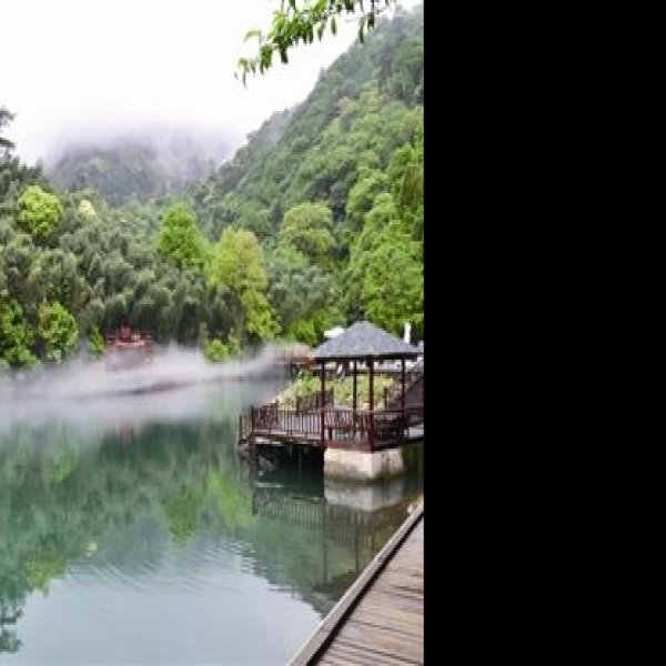祁门牯牛降 - 图片8