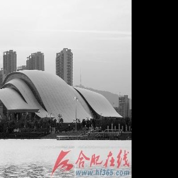 合肥大剧院 - 图片10