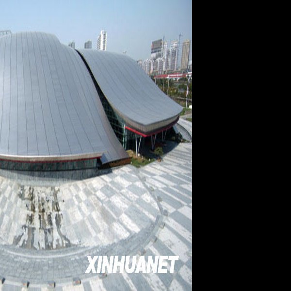 合肥大剧院 - 图片3