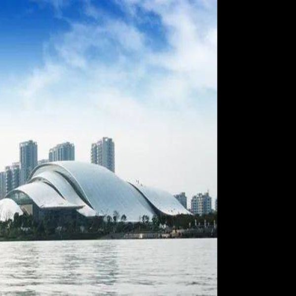 合肥大剧院 - 图片8