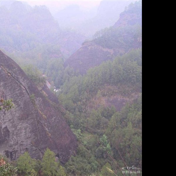 虎啸岩 - 图片4