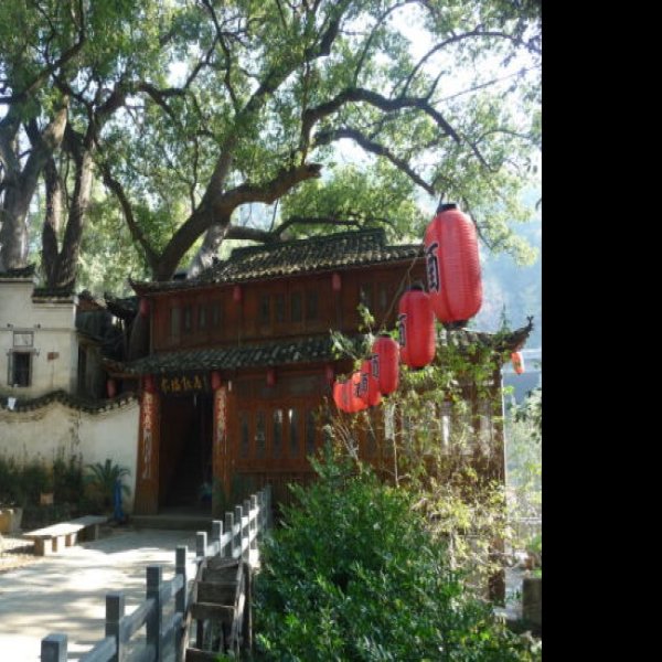 晓起 - 图片10