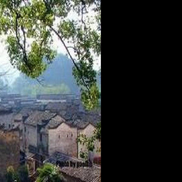 晓起 - 图片4
