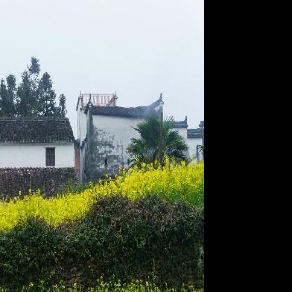 思溪延村 - 图片7