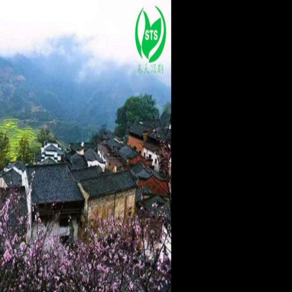 篁岭 - 图片10