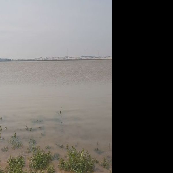 鄱阳湖 - 图片8