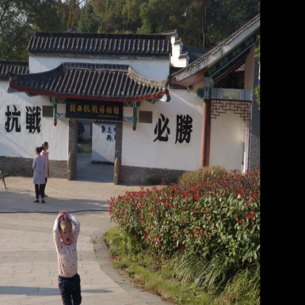 新余博物馆 - 图片6