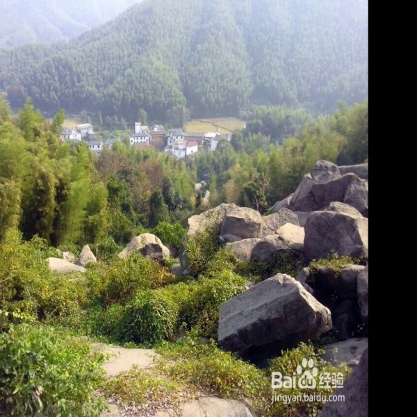南昌梅岭 - 图片4