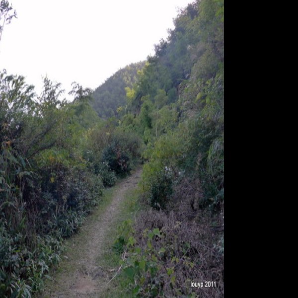 南昌梅岭 - 图片6