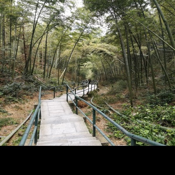 南昌梅岭 - 图片7