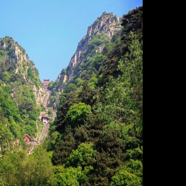 泰山 - 图片9