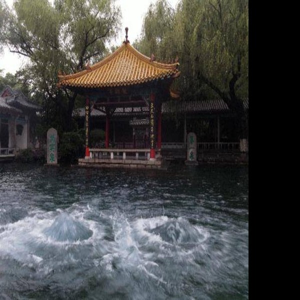 趵突泉 - 图片4