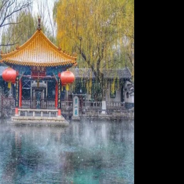 趵突泉 - 图片5