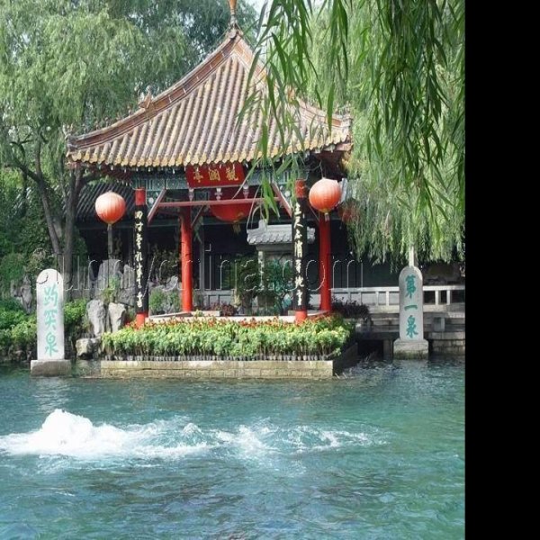 趵突泉 - 图片7